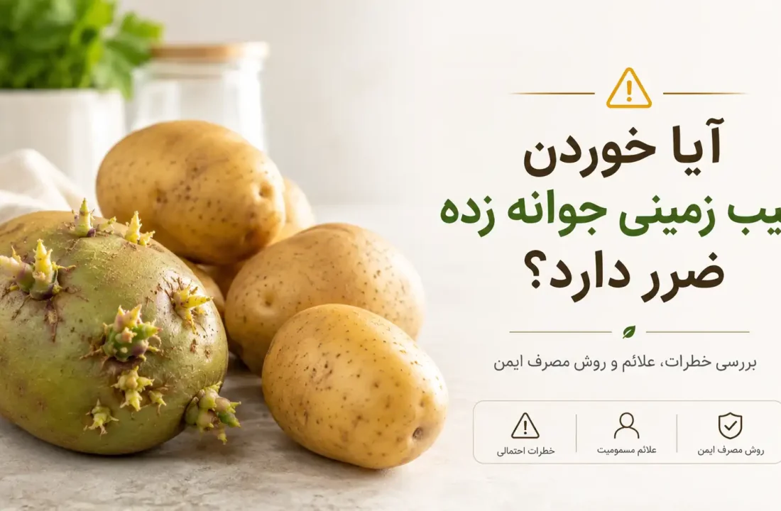 آیا خوردن سیب زمینی جوانه زده ضرر دارد؟ بررسی خطرات و روش تشخیص سیب‌زمینی سالم