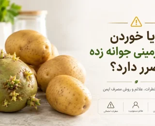 آیا خوردن سیب زمینی جوانه زده ضرر دارد؟ بررسی خطرات و روش تشخیص سیب‌زمینی سالم